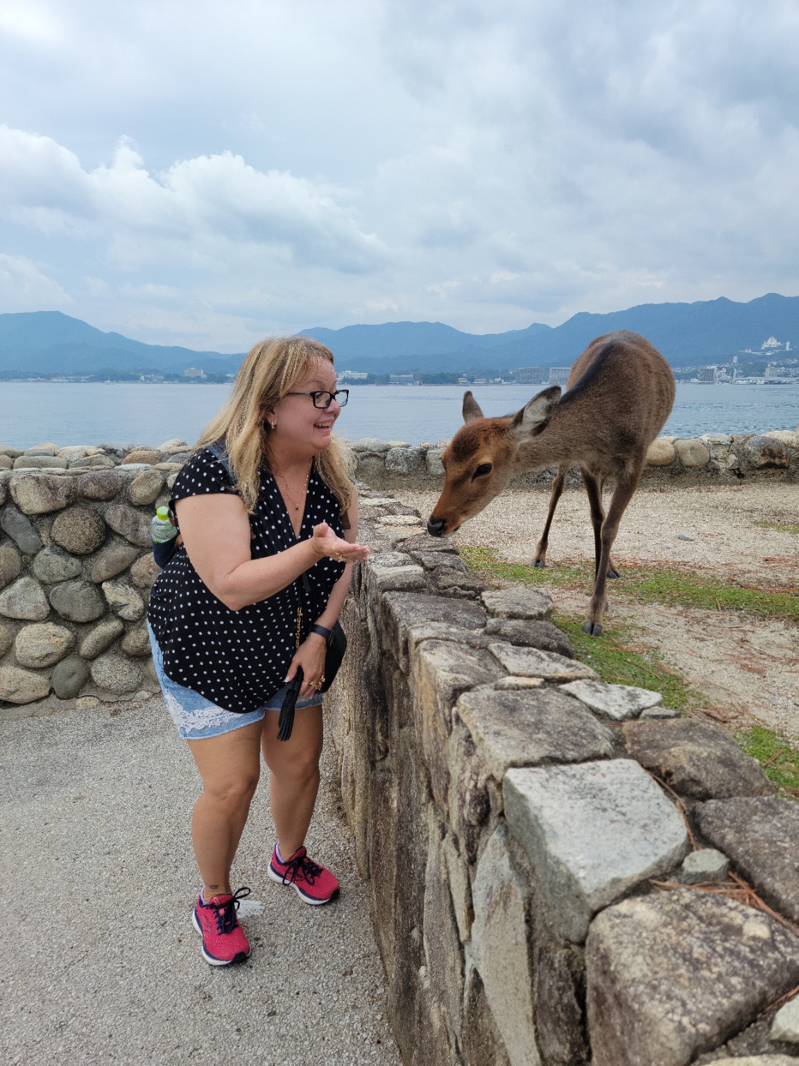 A traveler sharing a playful moment with a deer on Miyajima